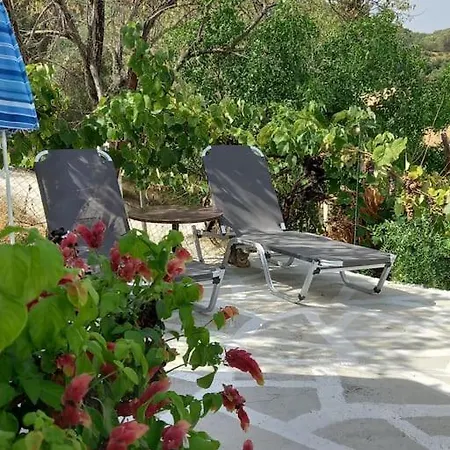Sofia's * Mesongí