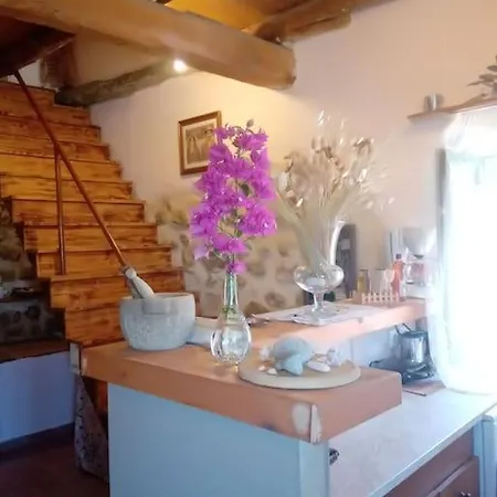 Tatil Evi Sofia's