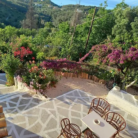 Tatil Evi Sofia's